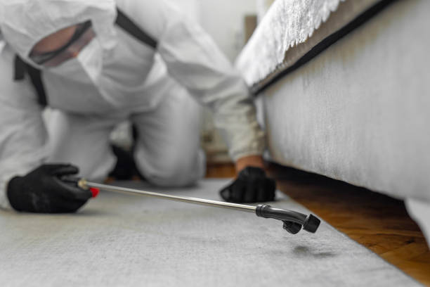 Professional Pest Control technician working in Kahoka, MO