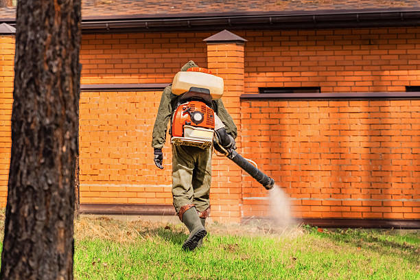 Trusted Rodent Control service in Kahoka, MO - Nex Pest Control